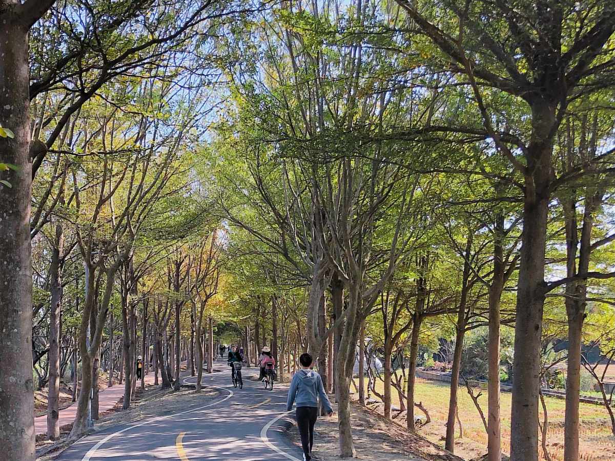 台中大雅｜潭雅神綠園道自行車道。單車輕旅行，享受在城市綠洲中之穿梭