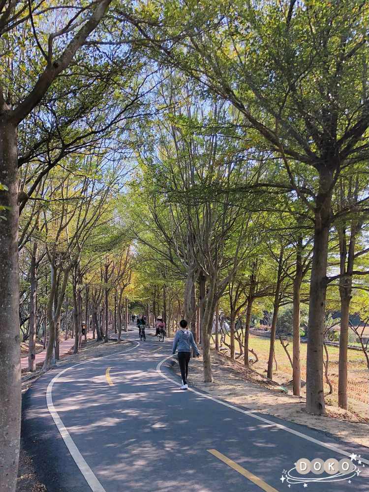 台中大雅｜潭雅神綠園道自行車道。單車輕旅行，享受在城市綠洲中之穿梭
